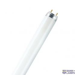NATURA® T8 30 W/76
