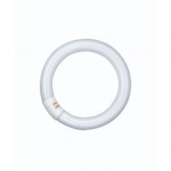 LUMILUX® T9 C 40 W/840 G10Q