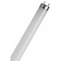 Basic T8 18 W/530