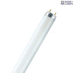 Standart T8 36 W/530 100cm