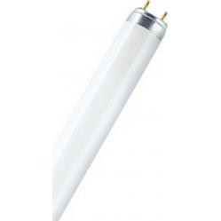 LUMILUX® T8 36 W/865