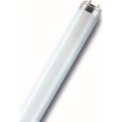 LUMILUX® T8 36 W/830