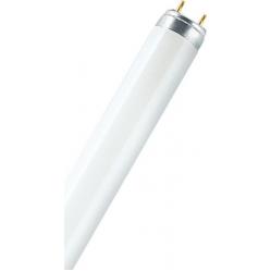 LUMILUX® T8 58 W/865