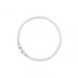 LUMILUX® T5 FC® 22 W/865 6500 K
