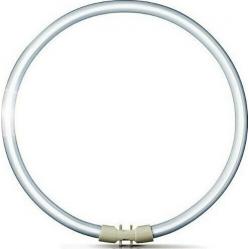 LUMILUX® T5 FC® 22 W/840 4000 K