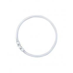 LUMILUX® T5 FC® 55 W/6500 K