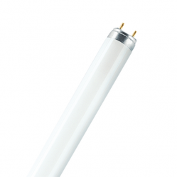 Fluorescent Lamp BASIC L 30W/640W-CRP