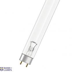 HNS 36W G13 25X1