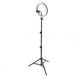 Linear Luminaire Linear LED Mobile Ring Tripod
