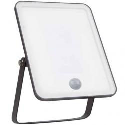Floodlight Essentials 20W 3000K