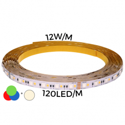 LED strip 24W/m 120led/m RGB+WW 3000K IP20 24V 60'000h CRI>90 (5m)