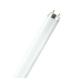 Fluorescent Tube 30W/33-640 T8
