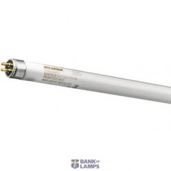 36W/125-740 105cm T8