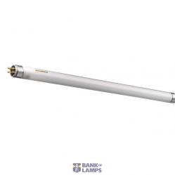 FHO 49W/T5/827