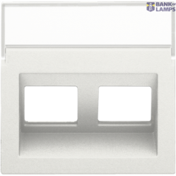 Data Central Plate 2x RJ Oblique Output, White
