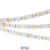 5m LED Strip 9.6W/m 12V IP33 RGBW CW 10mm NEXTEC