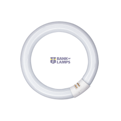 Circular Fluorescent Tube G10q 22W/865 T9 D210