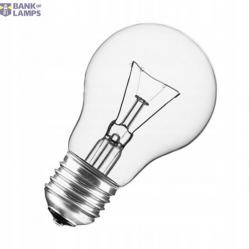 Halogen Lamp 100W A55 E27 240V
