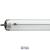 Fluorescent Tube TLX FA6 20W/640 T12