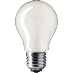 Incandescent Bulb E27 25W A55 230V FR
