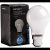 Incandescent Bulb B22 60W A55 230V FR