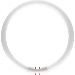 Circular Fluorescent Tube 2GX13 22W/840 T5 D230