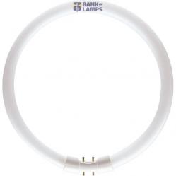 Circular Fluorescent Tube 2GX13 55W/840 T5 D302