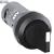 CL-100R Pilot Light