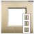 LL - cover plate 2x3P 71mm gold mat