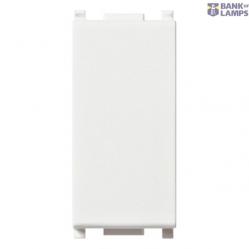 Blank module white