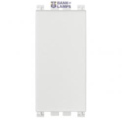 Blank module white