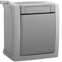 Pacific Grey (Quick Connection) Switch