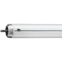 TL-X XL 40W/33-640 SLV/25