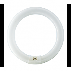 TL-E Circular 40W/33-640 1CT