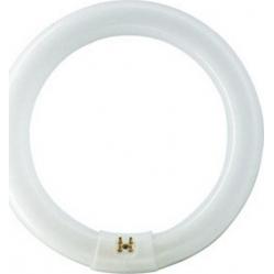 TL-E 40W/840 1CT/12