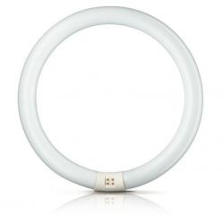 Fluorescent Lamp LC G10q 40W/25-740 T9