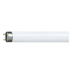 30W/33-640 T8 Philips