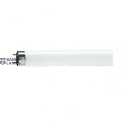 Fluorescent Lamp TL-D Standard Colours 36 W G13 Cool daylight Linear fluorescent tube