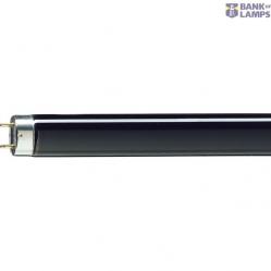 TL-D 36W BLB 1SL/25
