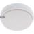 Outdoor Light with Light Source - wall light 10W 850lm 4000K IP54  - White