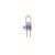 Philips Halogen bulb Pen base shape 25W = 35W GY6,35 clear 500lm warm white 3000K 12V