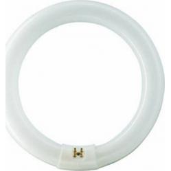 TL-E 32W/865 1CT/12
