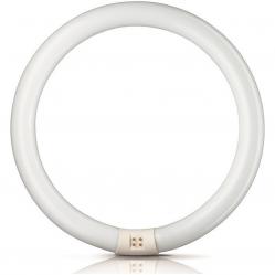 TL-E 40W/865 1CT/12