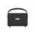 Havit SK907BT - 30 W wireless Bluetooth speaker (black)