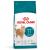 ROYAL CANIN Ageing 11+ - dry cat food - 4kg