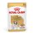 ROYAL CANIN French Bulldog Adult Digestive health Loaf Box - wet dog food - 12x85g