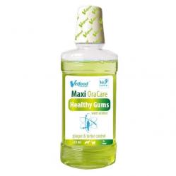 VETFOOD Maxi OraCare Healthy Gums – oral hygiene liquid for dogs and cats – 750ml