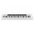 Casio CT-S200WE Digital synthesizer 61 White