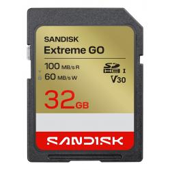 SanDisk Extreme GO 32 GB SDHC UHS-I