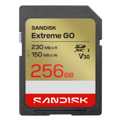 SanDisk Extreme GO 256 GB SDXC UHS-I